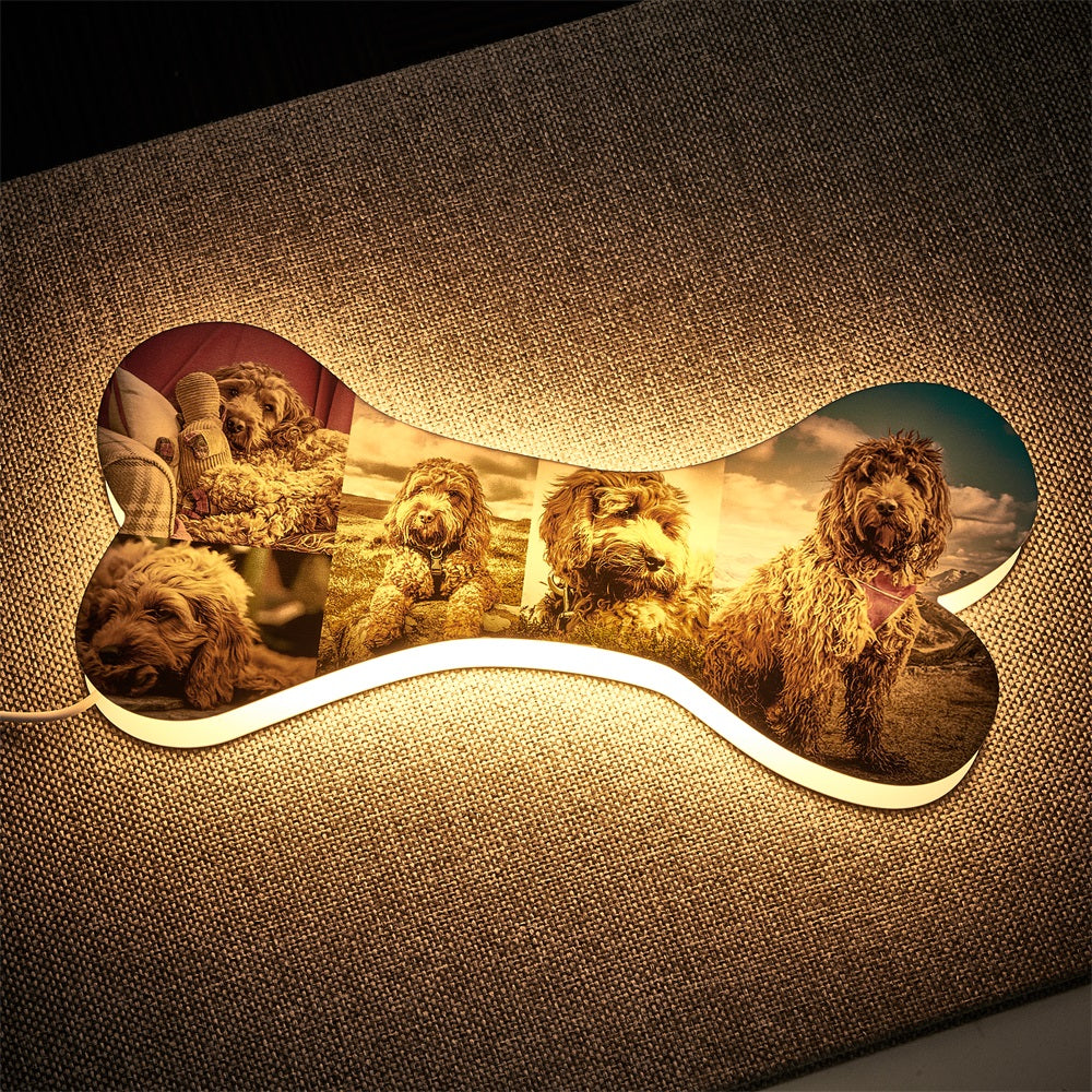 Bone Picture Night Light