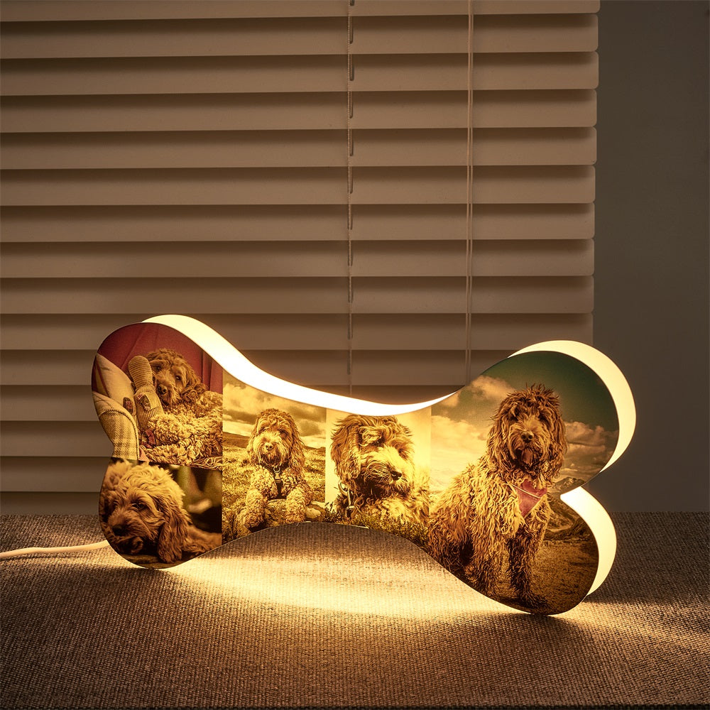 Bone Picture Night Light
