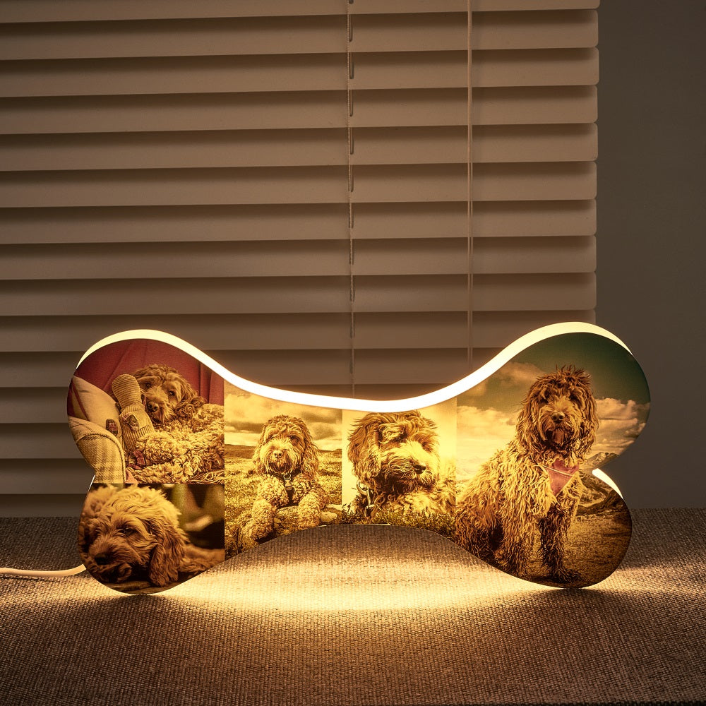 Bone Picture Night Light