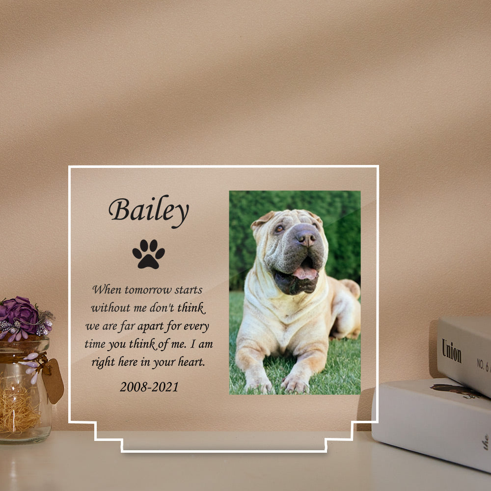 Pet Memorial Night Light