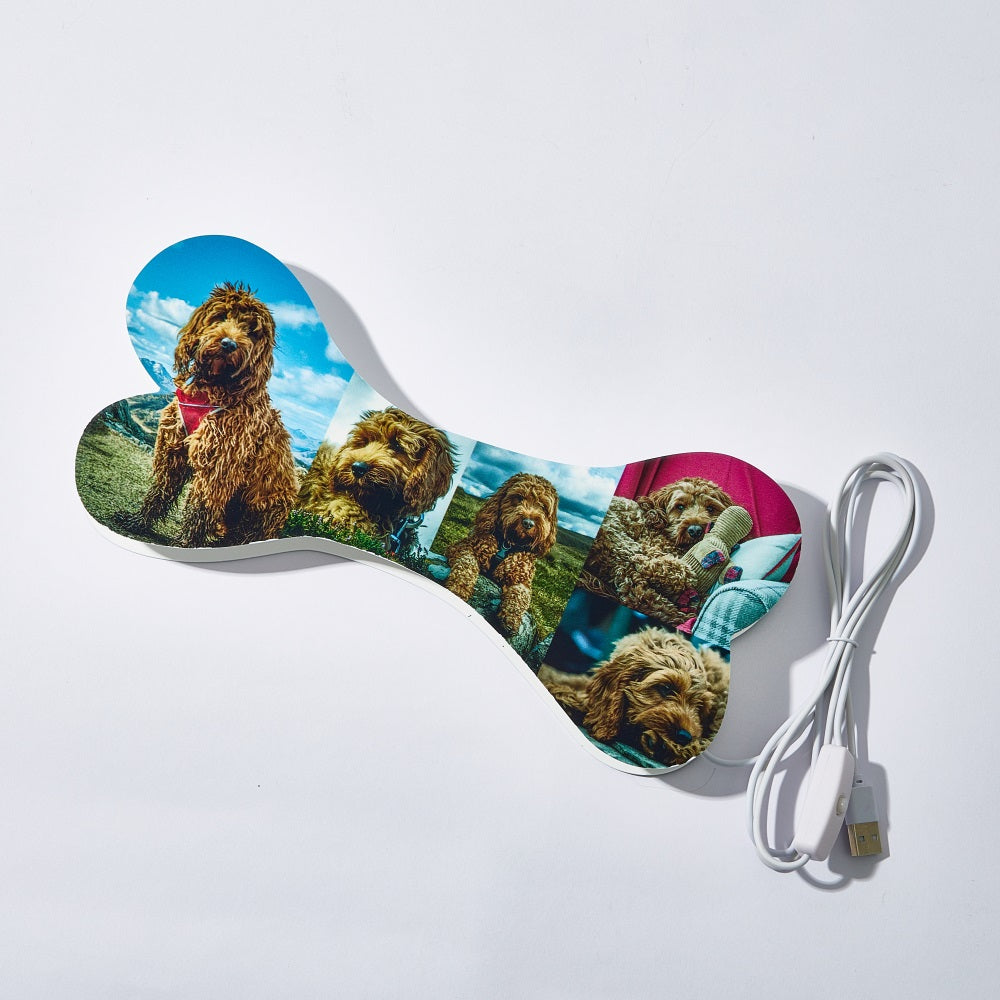 Bone Picture Night Light
