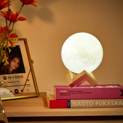 3D Lunar Moon Lamp