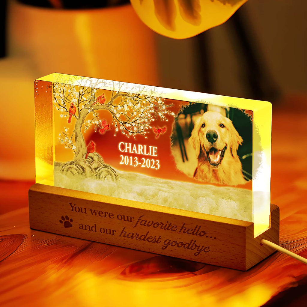 Pet Photo Night Light