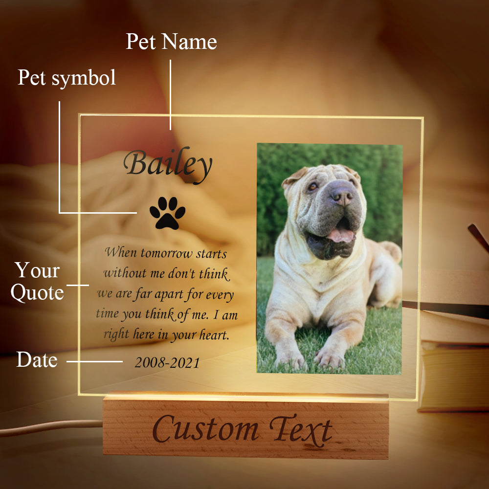 Pet Memorial Night Light
