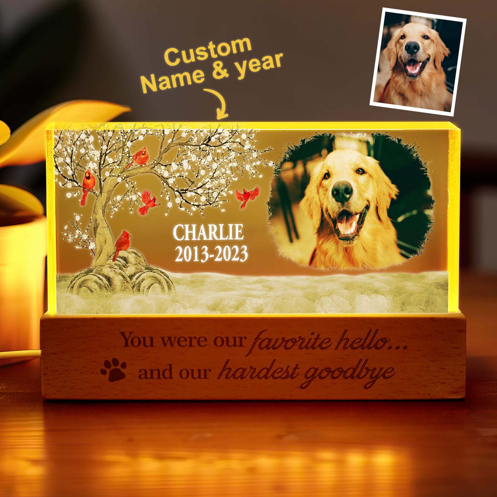Pet Photo Night Light