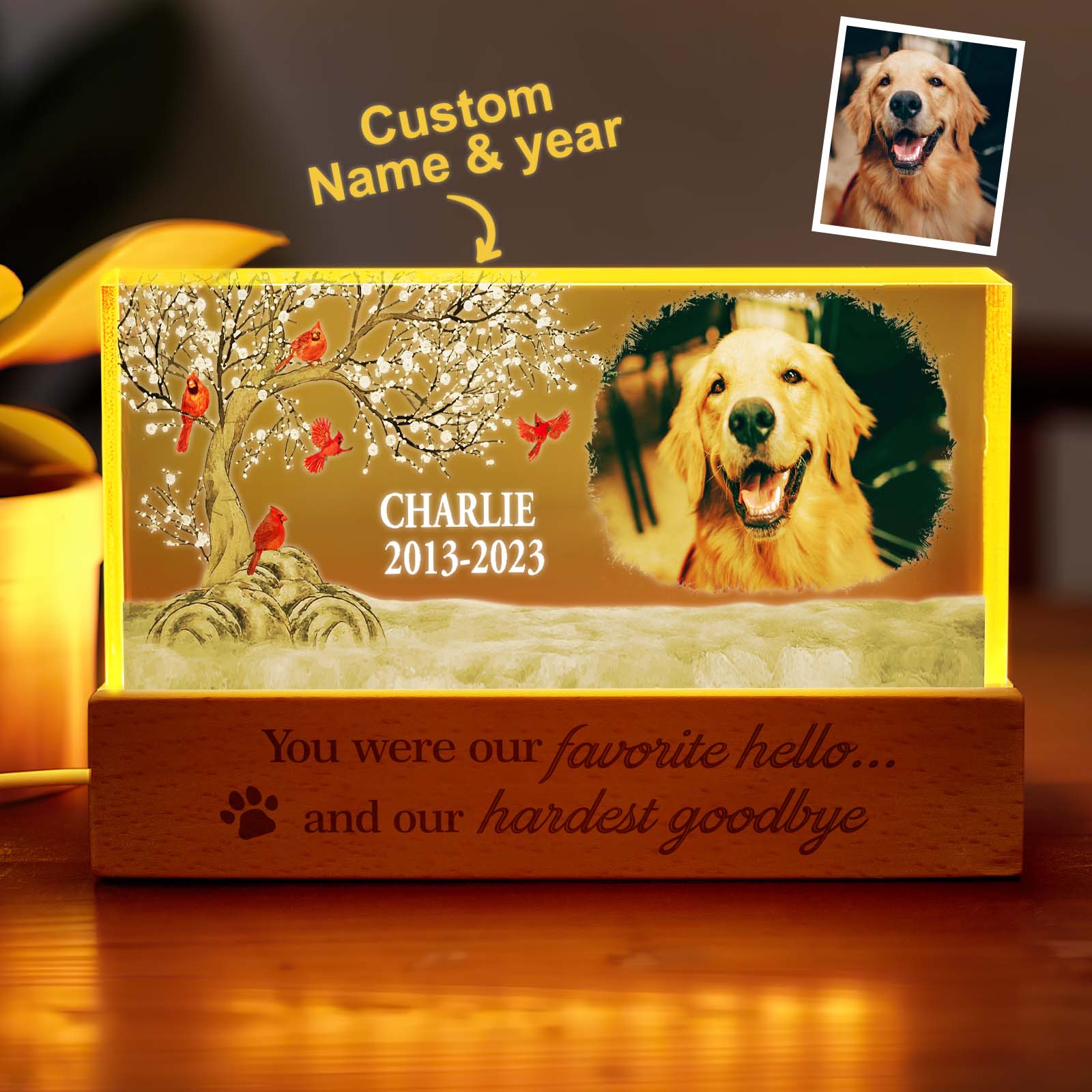 Pet Photo Night Light