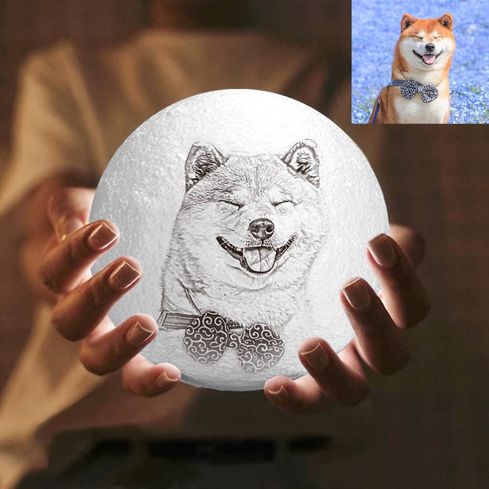 Photo Moon Lamp