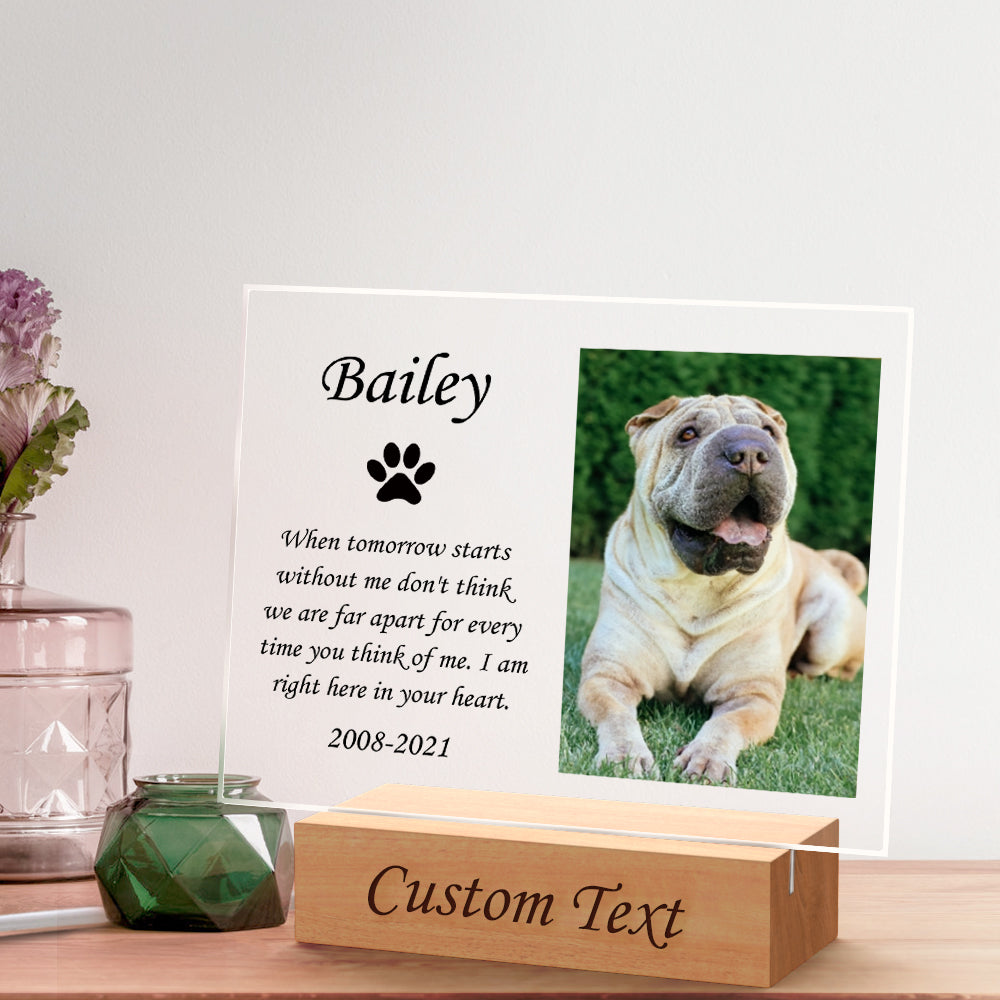 Pet Memorial Night Light