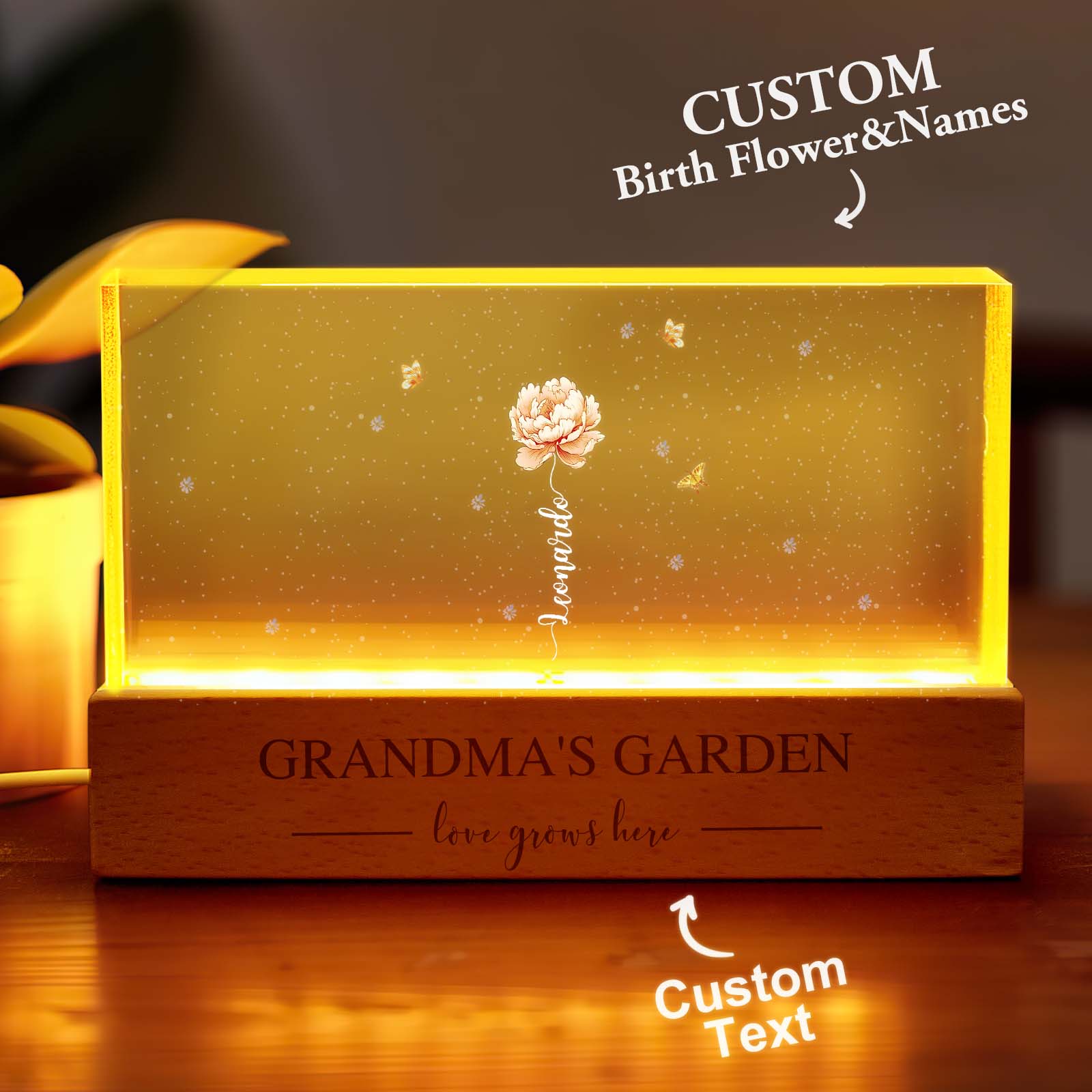 Grandma Flower LED Night Light