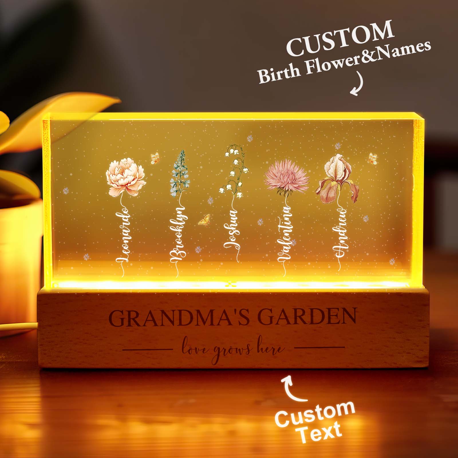 Grandma Flower LED Night Light