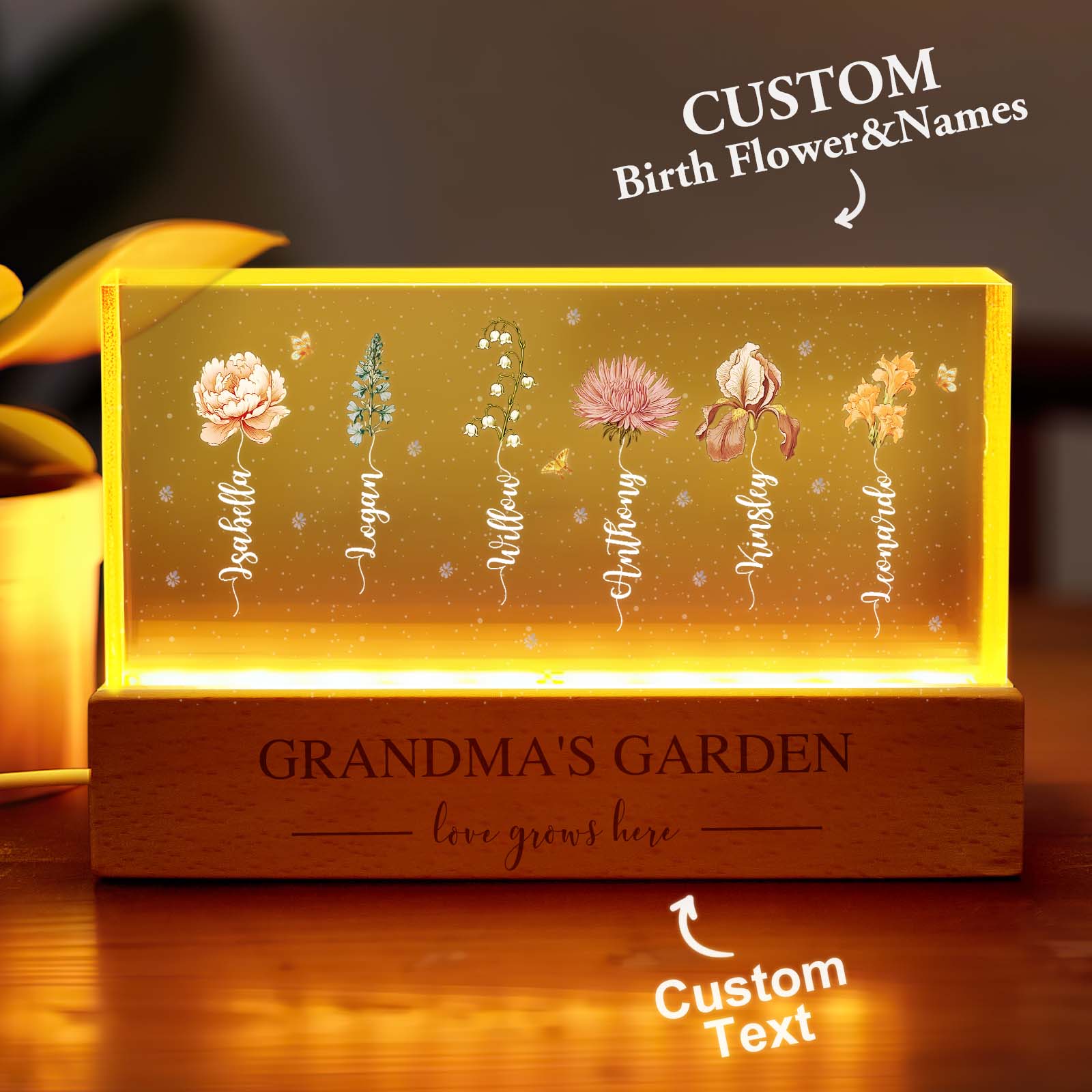 Grandma Flower LED Night Light