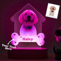 Puppy Photo Night Lamp
