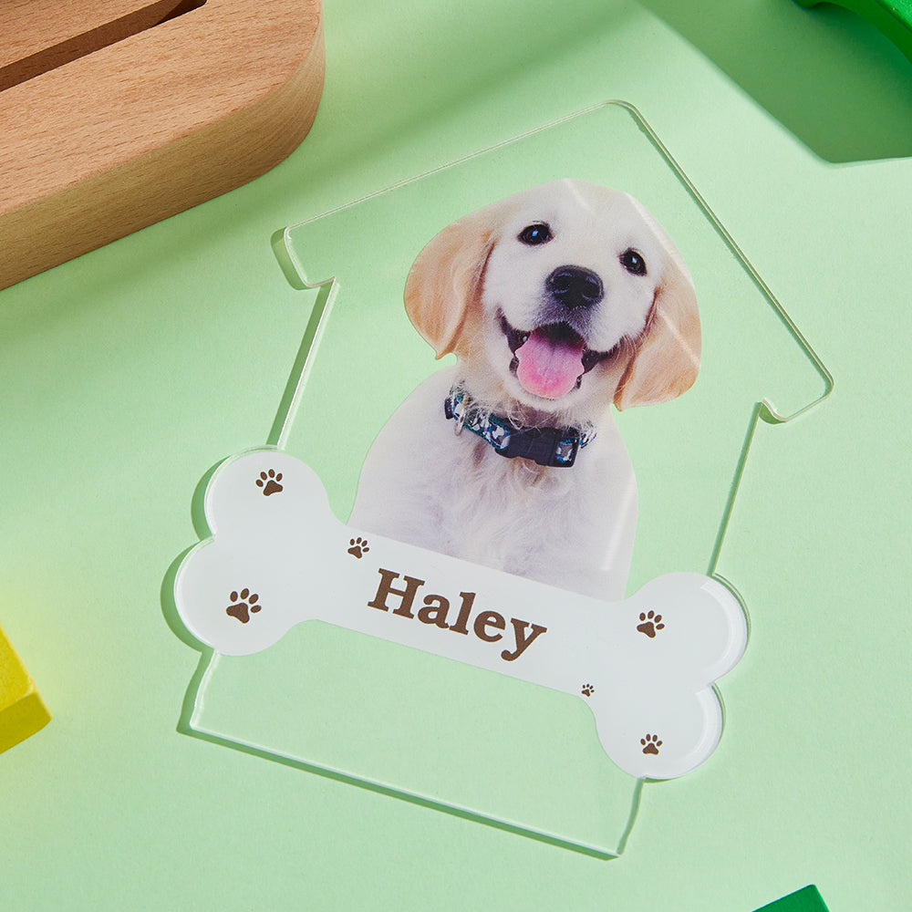 Puppy Photo Night Lamp