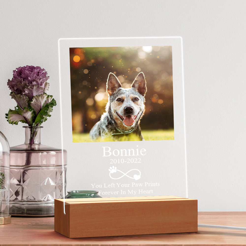 Pet Dog Memorial LED Lamp