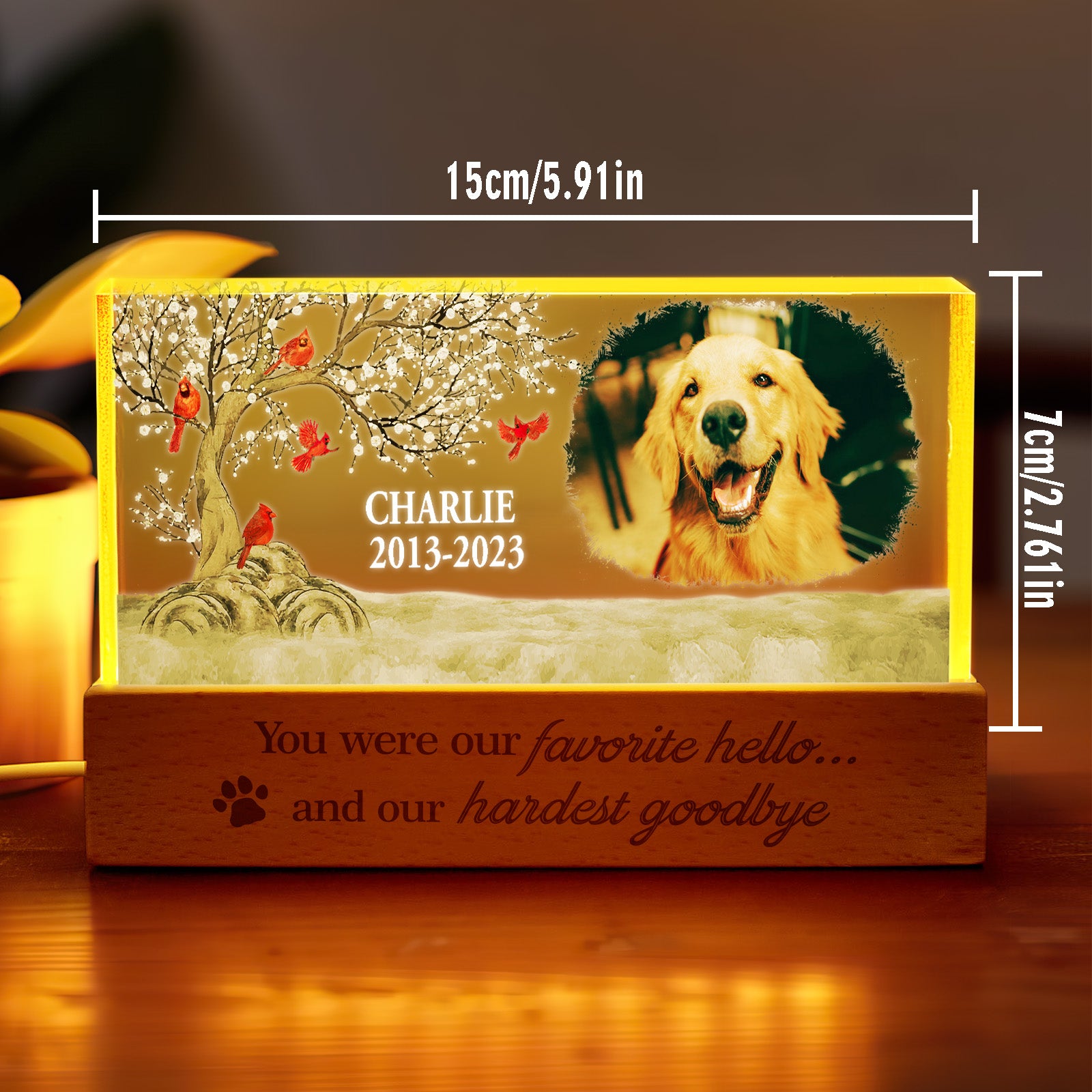 Pet Photo Night Light